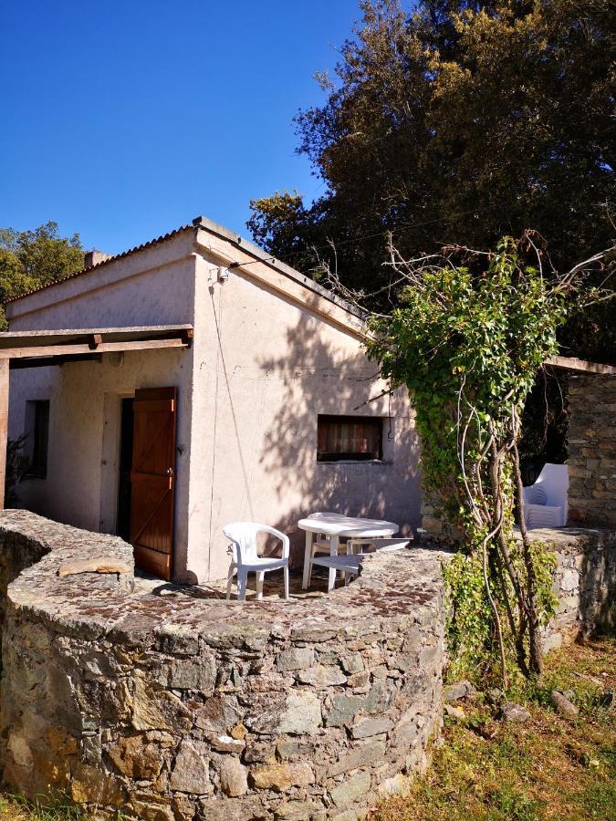 Campita Hotel Omessa Exterior photo